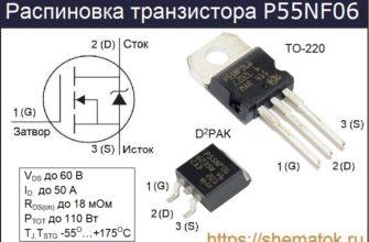 Распиновка P55NF06